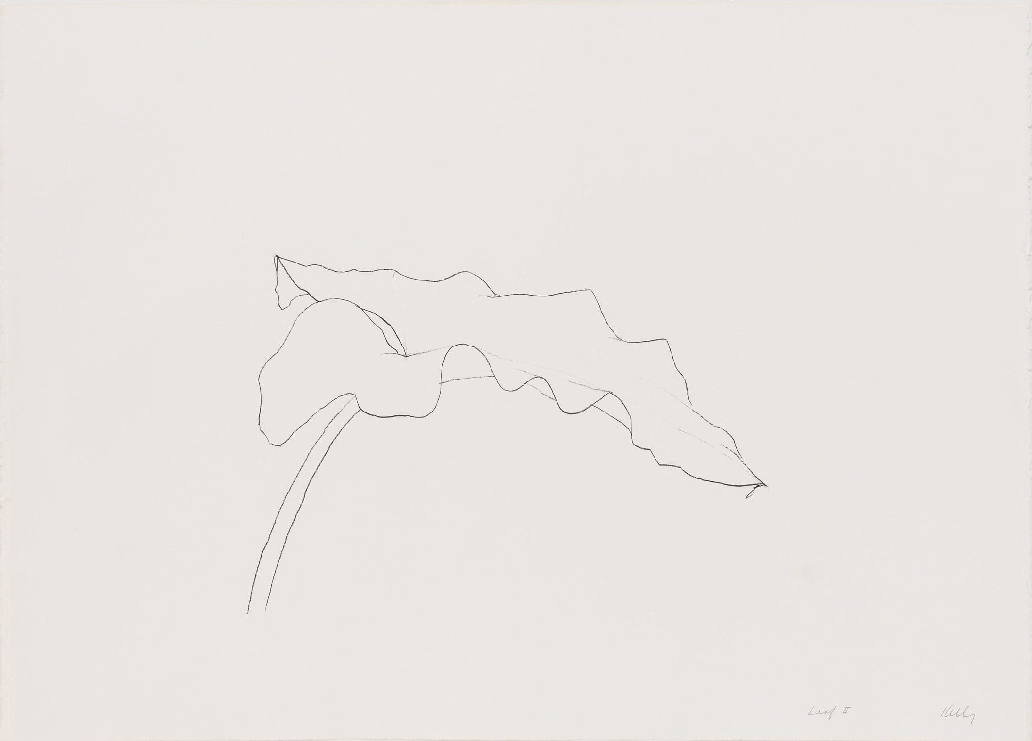 Ellsworth Kelly Leaf II print