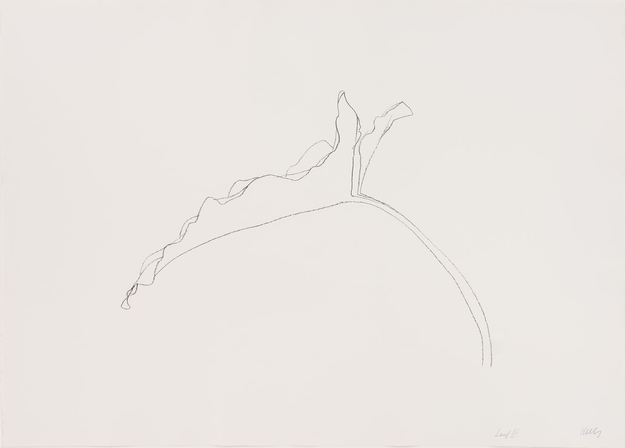 Ellsworth Kelly Leaf XI print