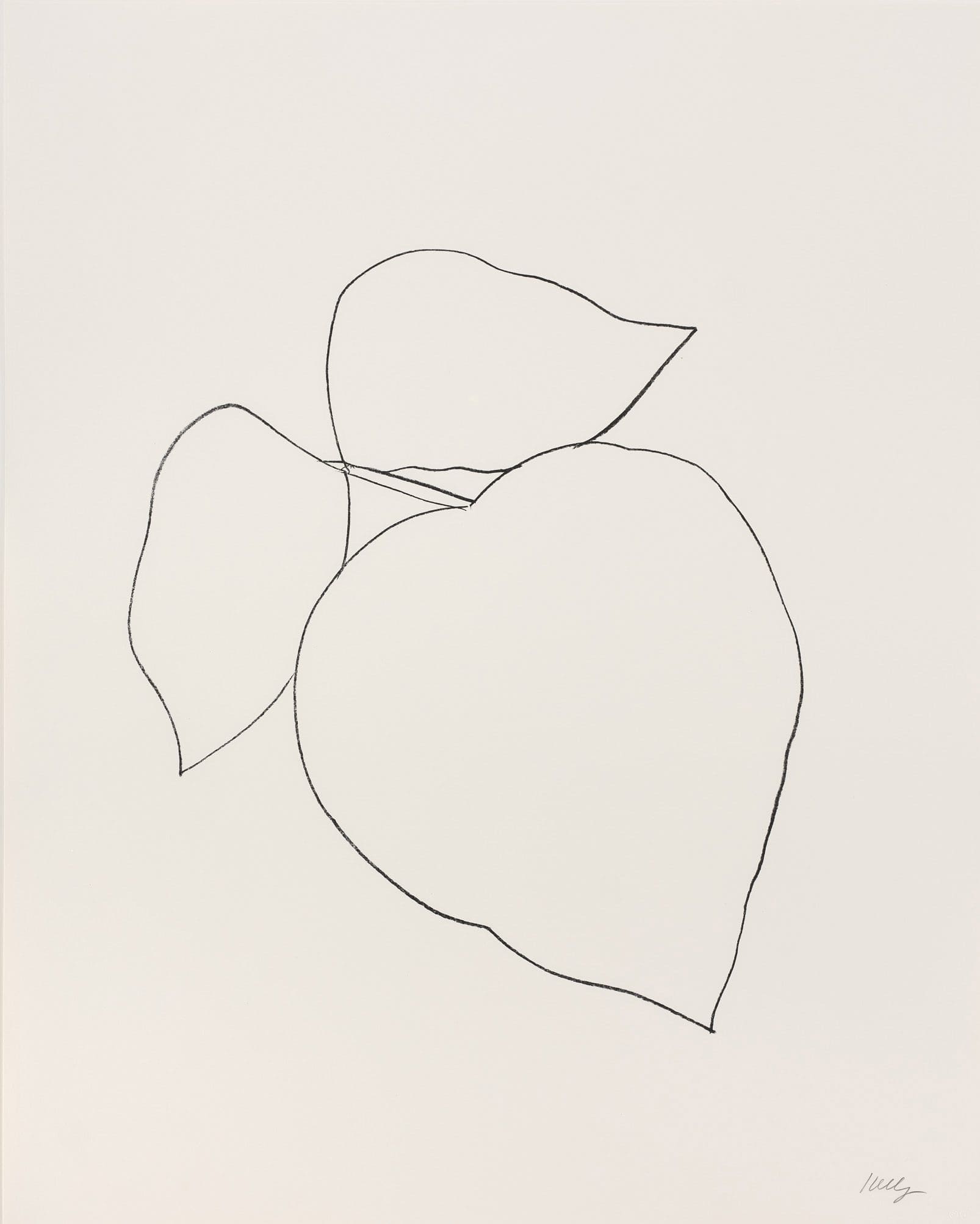 Ellsworth Kelly Leaves print