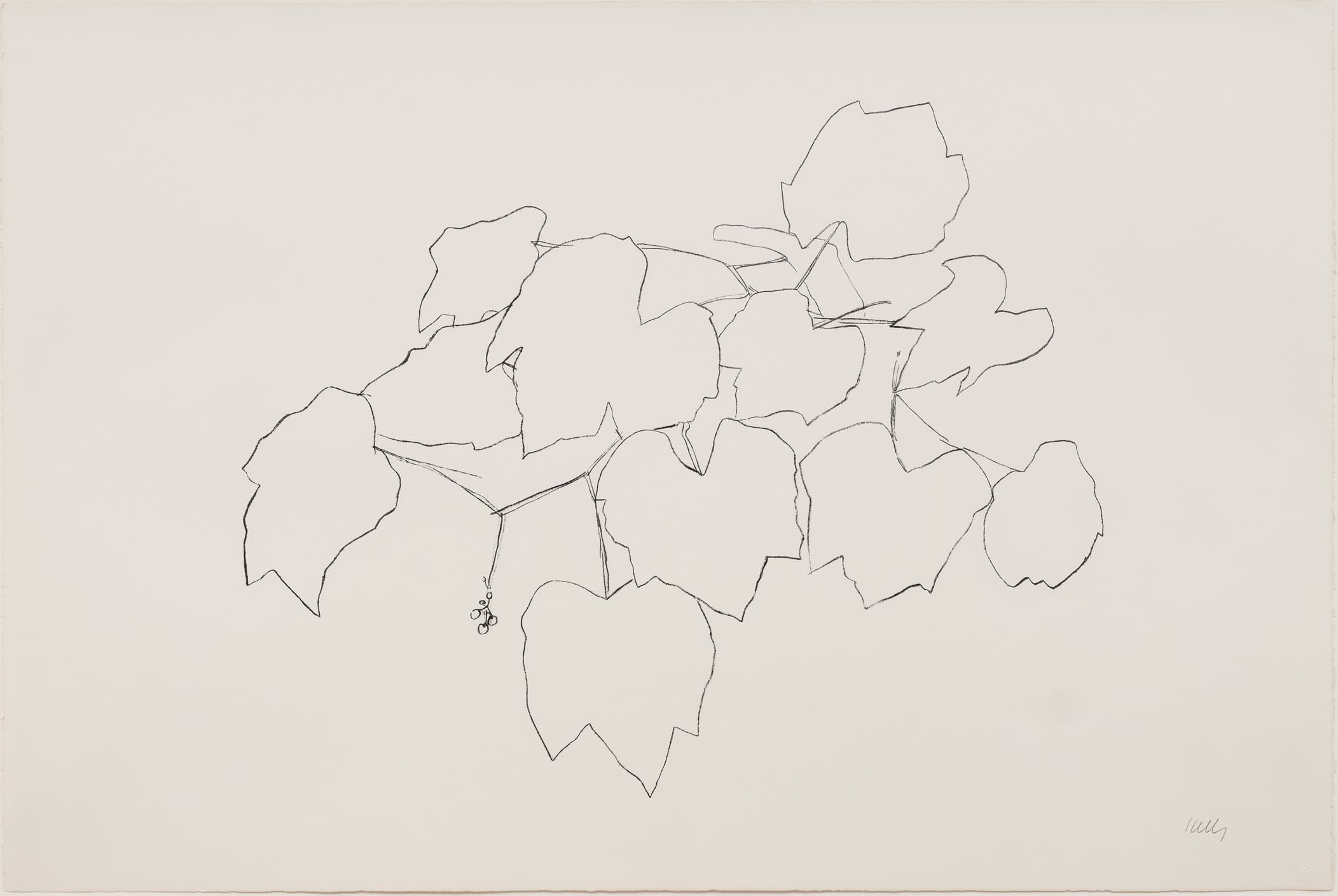 Ellsworth Kelly Grape Leaves I print
