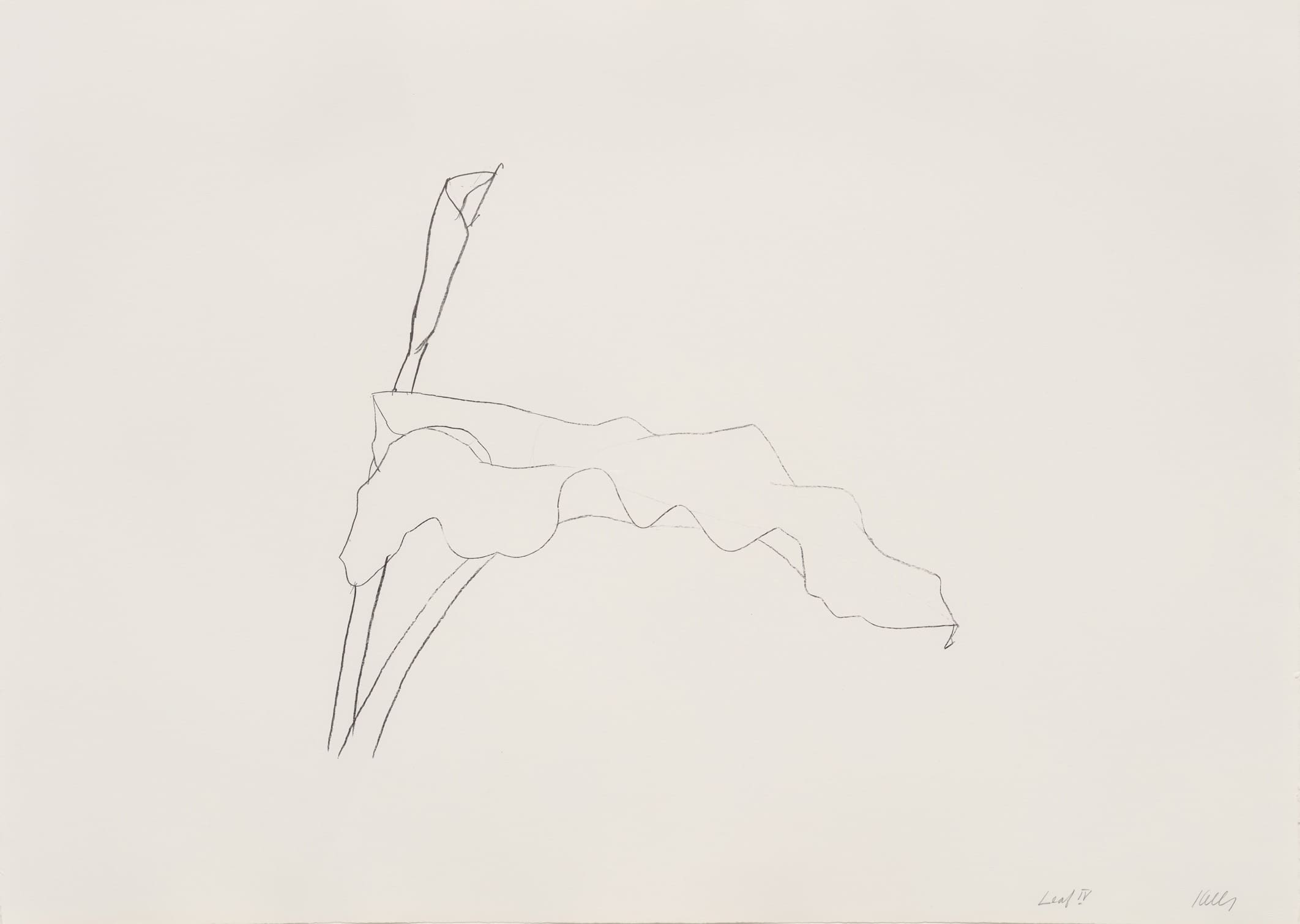 Ellsworth Kelly Prints for Sale | Susan Sheehan Gallery