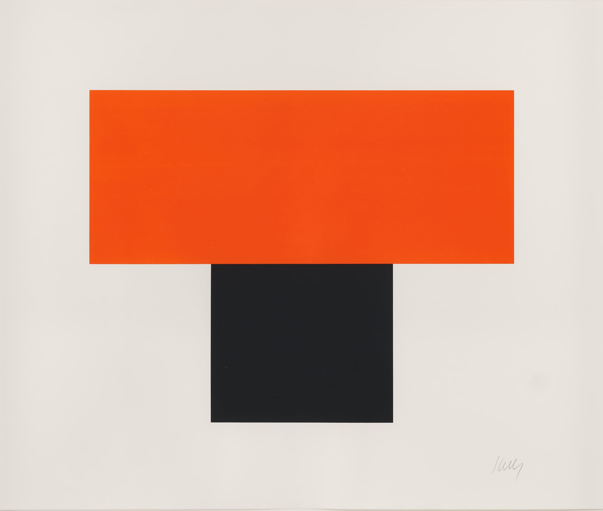 Ellsworth Kelly Prints for Sale | Susan Sheehan Gallery