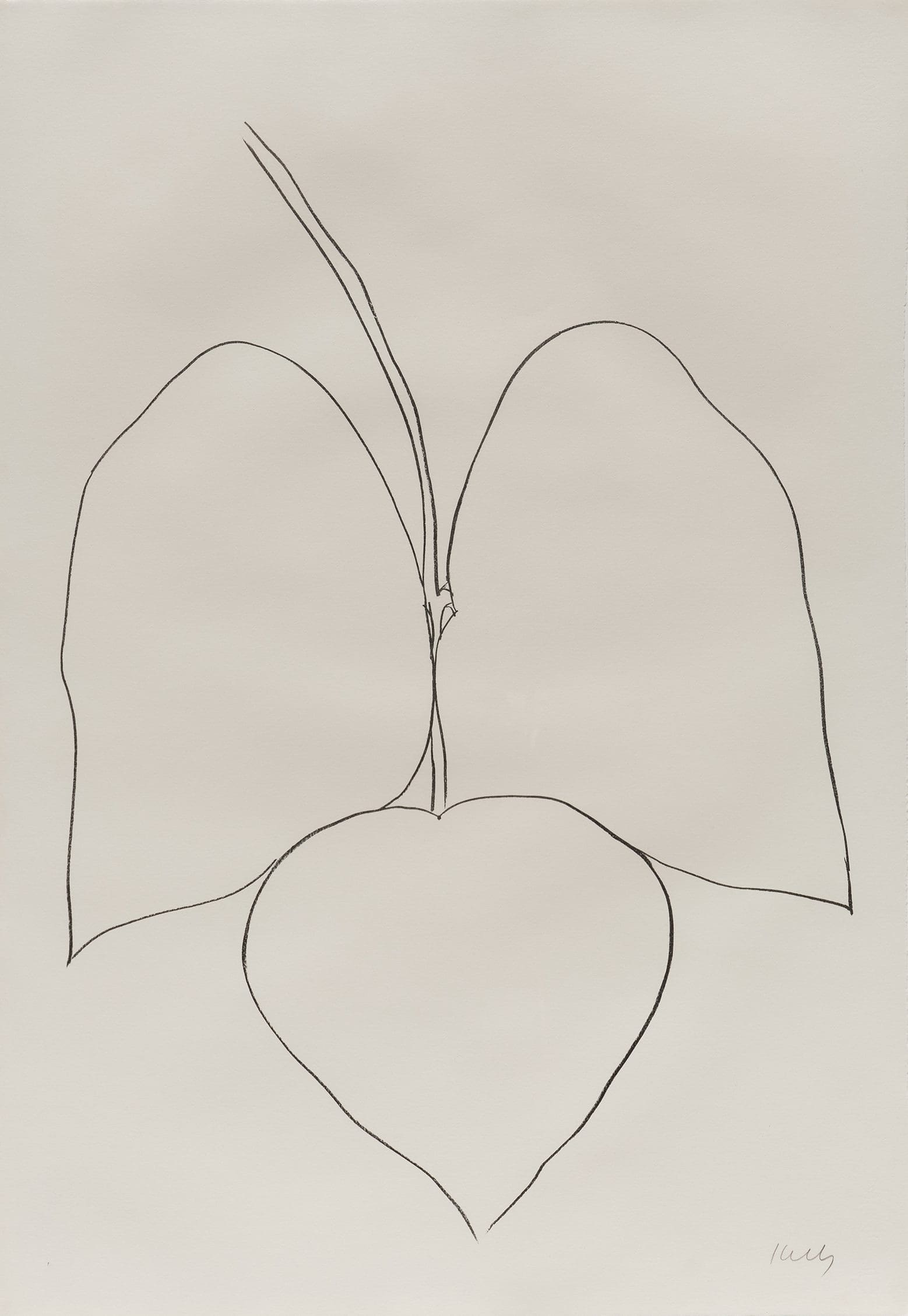 Ellsworth Kelly String Bean Leaves I print