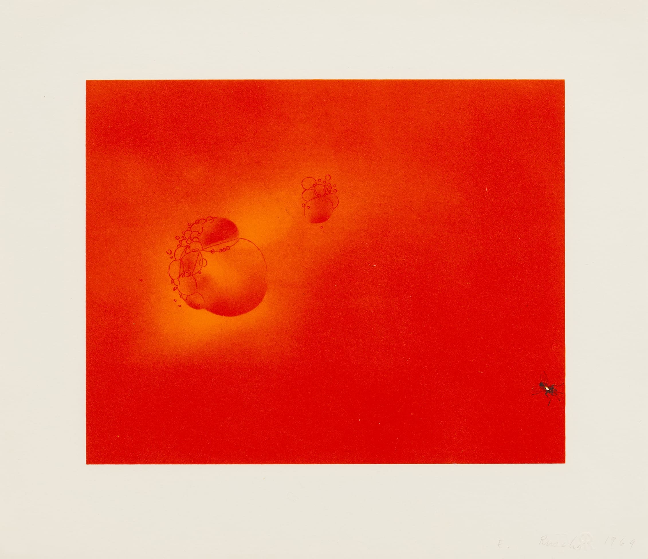 Edward Ruscha Boiling Blood, Fly print