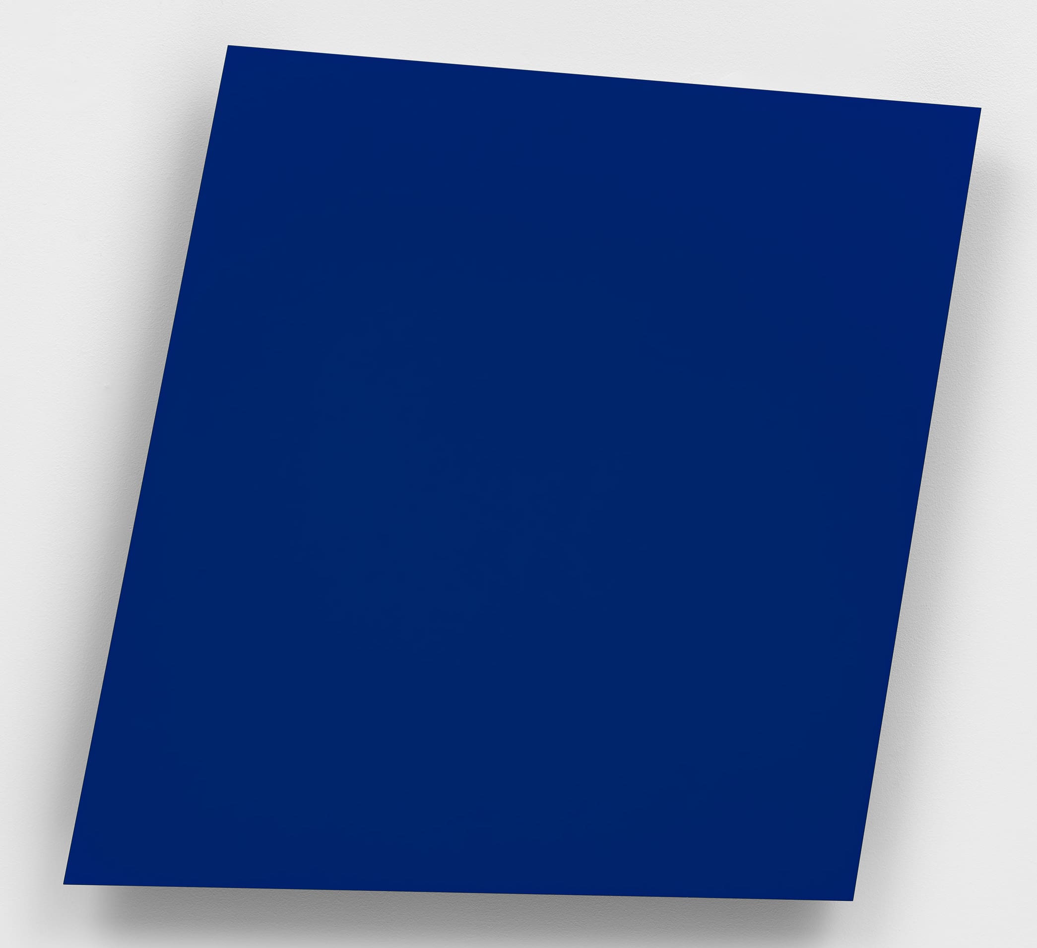 Ellsworth Kelly Prints for Sale | Susan Sheehan Gallery