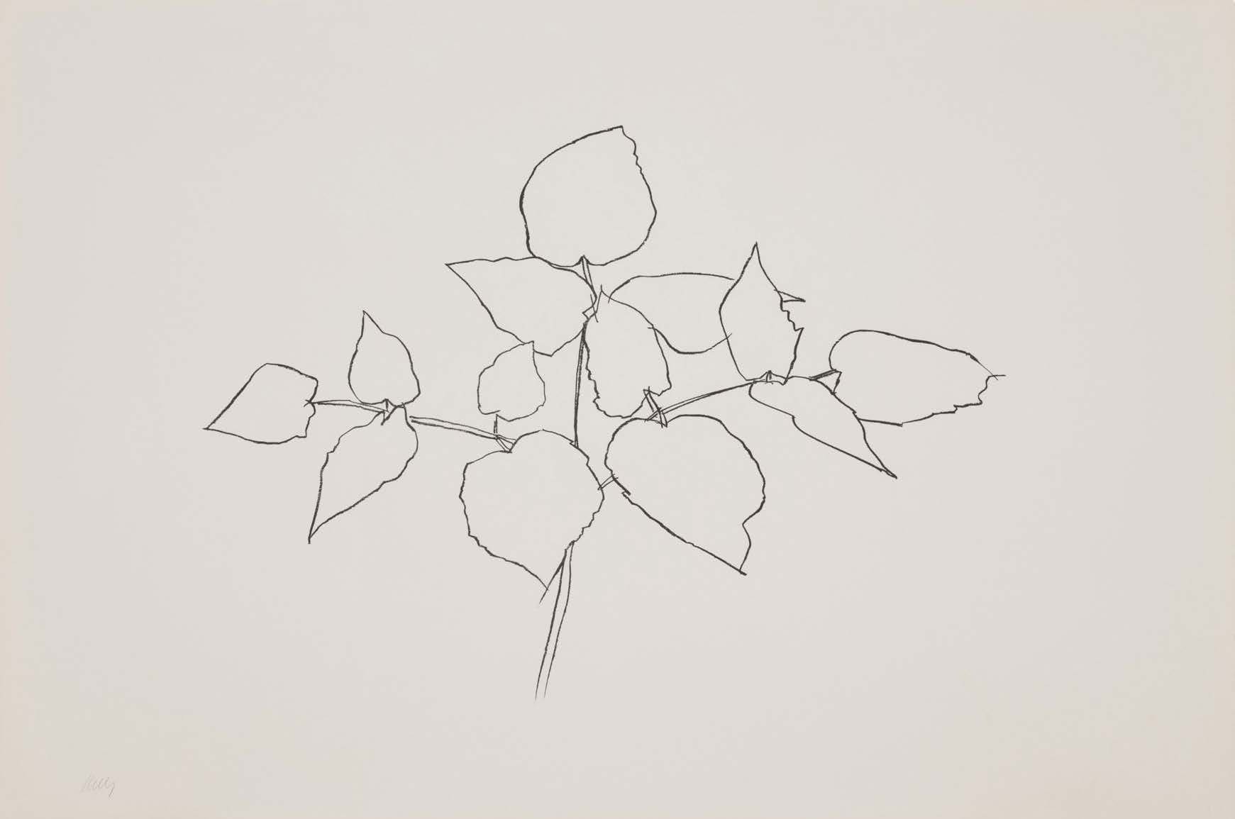 Ellsworth Kelly Woodland Plant print