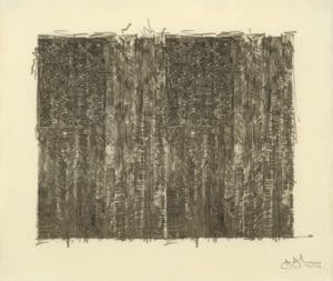 Jasper Johns Two Flags print
