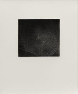 Vija Celmins Untitled (Web 2) print