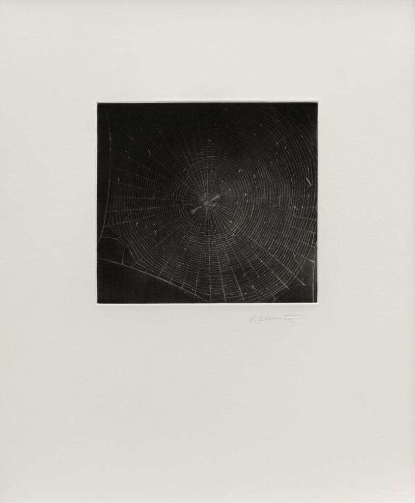 Vija Celmins Untitled (Web 2) print